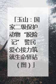玉山：国家二级保护动物“脱险记” 警民爱心接力筑就生命驿站（图）