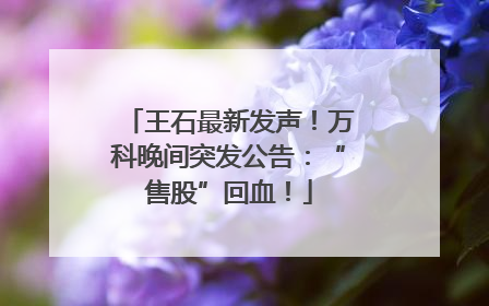 王石最新发声！万科晚间突发公告：“售股”回血！