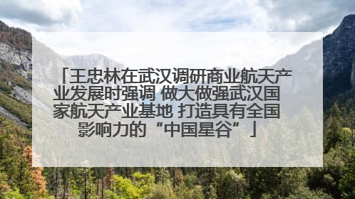 王忠林在武汉调研商业航天产业发展时强调 做大做强武汉国家航天产业基地 打造具有全国影响力的“中国星谷”