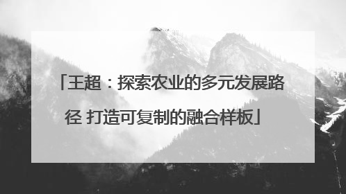 王超：探索农业的多元发展路径 打造可复制的融合样板