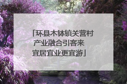 环县木钵镇关营村 产业融合引客来 宜居宜业更宜游