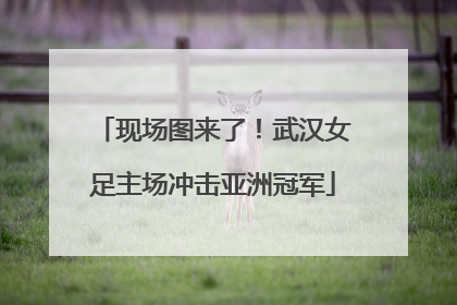 现场图来了！武汉女足主场冲击亚洲冠军