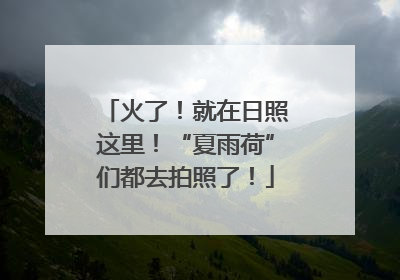 火了！就在日照这里！“夏雨荷”们都去拍照了！