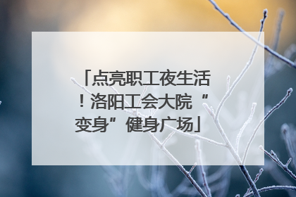 点亮职工夜生活！洛阳工会大院“变身”健身广场