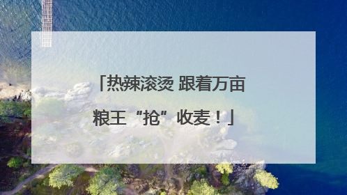 热辣滚烫 跟着万亩粮王“抢”收麦！
