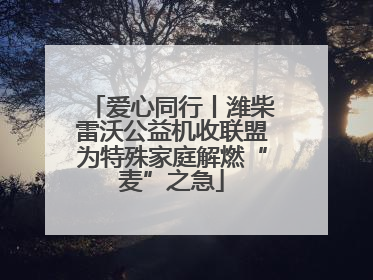 爱心同行丨潍柴雷沃公益机收联盟为特殊家庭解燃“麦”之急