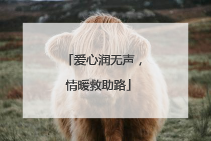 爱心润无声，情暖救助路