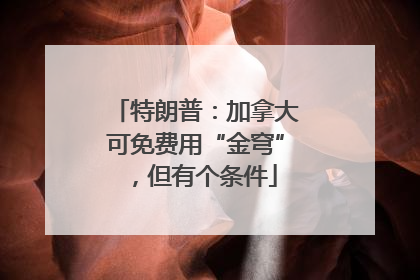 特朗普：加拿大可免费用“金穹”，但有个条件