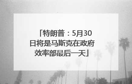 特朗普：5月30日将是马斯克在政府效率部最后一天