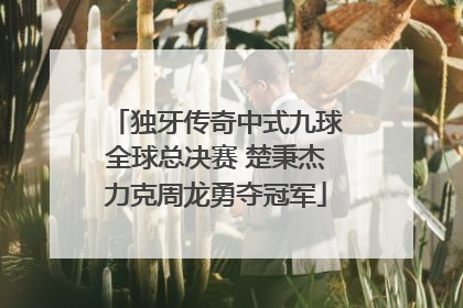 独牙传奇中式九球全球总决赛 楚秉杰力克周龙勇夺冠军
