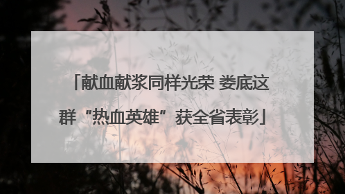献血献浆同样光荣 娄底这群“热血英雄”获全省表彰