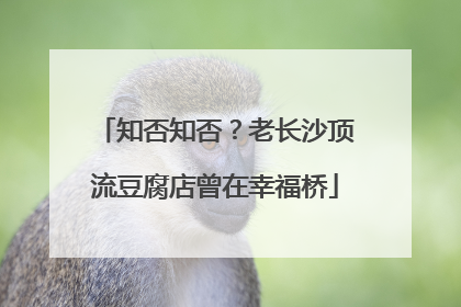 知否知否？老长沙顶流豆腐店曾在幸福桥