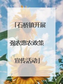 石桥镇开展强农惠农政策宣传活动