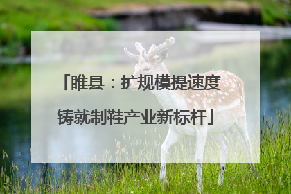 睢县：扩规模提速度 铸就制鞋产业新标杆