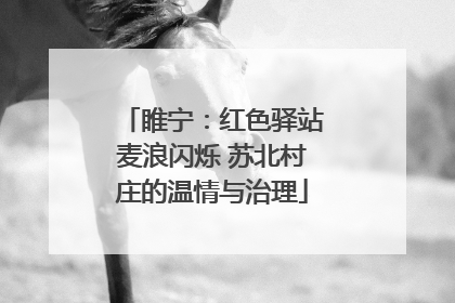 睢宁：红色驿站麦浪闪烁 苏北村庄的温情与治理