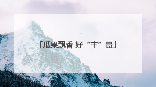 瓜果飘香 好“丰”景