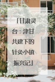 甘肃灵台：津甘共建下的针灸小镇振兴记