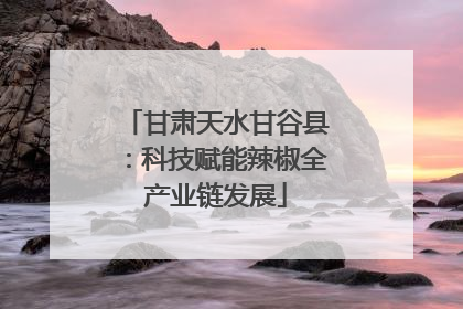 甘肃天水甘谷县：科技赋能辣椒全产业链发展