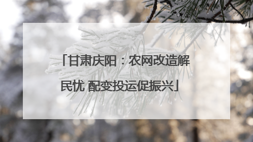 甘肃庆阳：农网改造解民忧 配变投运促振兴