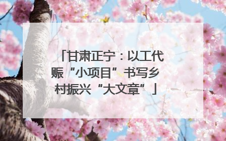 甘肃正宁：以工代赈“小项目”书写乡村振兴“大文章”