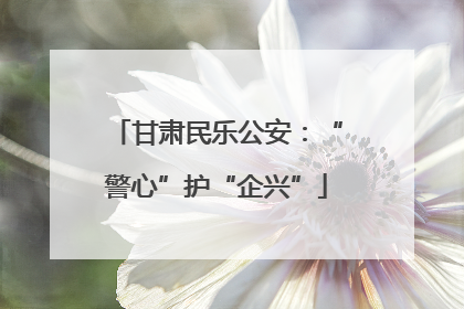 甘肃民乐公安：“警心”护“企兴”