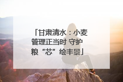 甘肃清水：小麦管理正当时 守护粮“芯”绘丰景