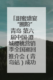 甜蜜盛宴 “圈粉”青岛 第六届中国·澄城樱桃营销季全国巡回推介会（青岛站）成功举办