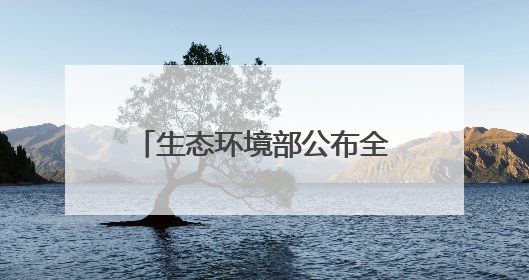 生态环境部公布全国先进典型案例，武汉两案例上榜