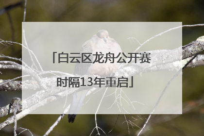 白云区龙舟公开赛时隔13年重启