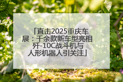 直击2025重庆车展：千余款新车型亮相 歼-10C战斗机与人形机器人引关注