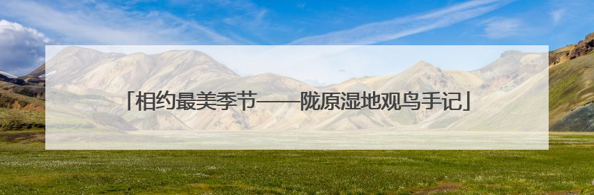 相约最美季节——陇原湿地观鸟手记