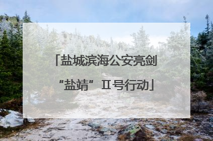 盐城滨海公安亮剑“盐靖”Ⅱ号行动