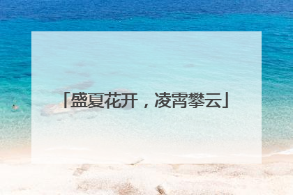 盛夏花开，凌霄攀云