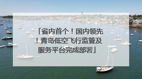 省内首个！国内领先！青岛低空飞行监管及服务平台完成部署