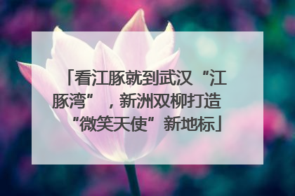 看江豚就到武汉“江豚湾”，新洲双柳打造“微笑天使”新地标