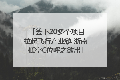 签下20多个项目 拉起飞行产业链 浙南低空C位呼之欲出