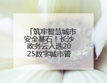 筑牢智慧城市安全基石！长沙政务云入选2025数字城市管理创新案例
