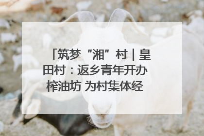 筑梦“湘”村｜皇田村：返乡青年开办榨油坊 为村集体经济“加油”