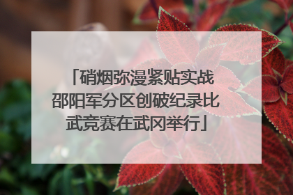 硝烟弥漫紧贴实战 邵阳军分区创破纪录比武竞赛在武冈举行