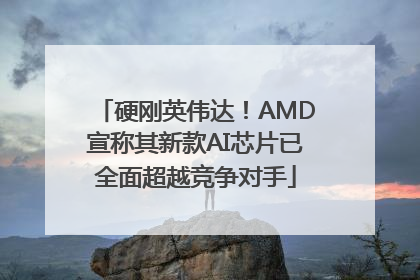 硬刚英伟达！AMD宣称其新款AI芯片已全面超越竞争对手