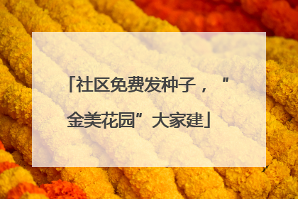社区免费发种子，“金美花园”大家建