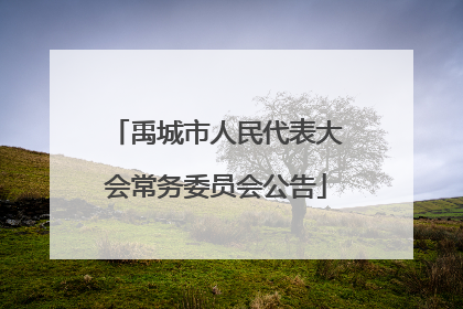 禹城市人民代表大会常务委员会公告