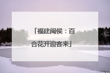 福建闽侯：百合花开迎客来