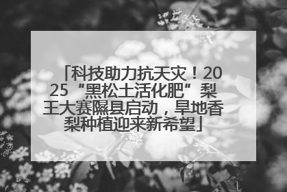 科技助力抗天灾！2025“黑松土活化肥”梨王大赛隰县启动，旱地香梨种植迎来新希望