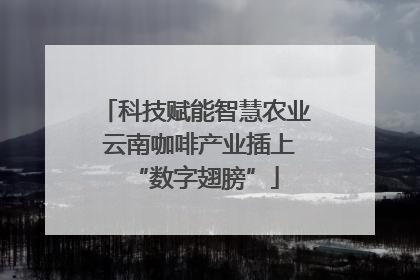 科技赋能智慧农业 云南咖啡产业插上“数字翅膀”