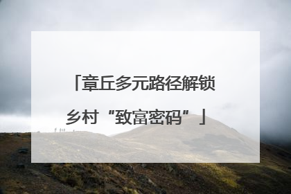 章丘多元路径解锁乡村“致富密码”