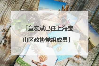 章宏斌已任上海宝山区政协党组成员