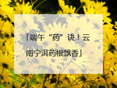 端午“药”诀！云南宁洱药根飘香
