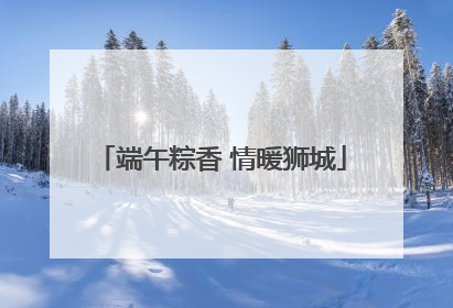 端午粽香 情暖狮城