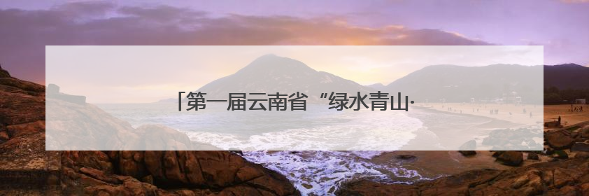 第一届云南省“绿水青山·彩云南”水文化作品展开幕